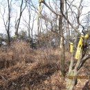 신동초교 이미지