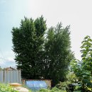 덕소2리 이미지