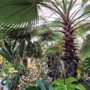 난초목장 이미지