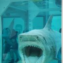 현대1번약국 | 데이미언허스트 국립현대미술관 서울 인사동 전시 예약 후기