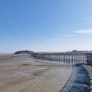 무안황토갯벌랜드 이미지