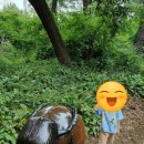 금촌유아숲체험원 이미지