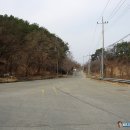 삼산초등학교 | 경남 합천 금성산(592m) 거대바위로 이루어진 봉화대의 조망 명산(2023.3.4)