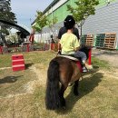 프리미어아레나승마클럽 네이버블로그