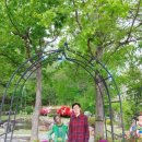 훈민정음공인중개사사무소 이미지