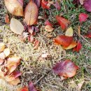 오이도선사유적공원(후문) 이미지