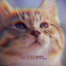 유앤유외과의원 네이버블로그