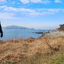 서상농협하나로마트 이미지