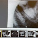 서울참조은치과의원 이미지