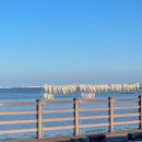 목화휴게소 이미지