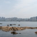 홍유단(광안점) 이미지