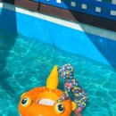 앤드퍼피 이미지