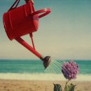 분당-서현-103 이미지