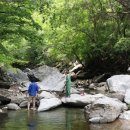 산천초목 이미지