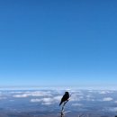 [뉴스경남] 쉼표 - 전현주 시인 이미지