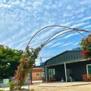 제부매바위팬션민박 이미지