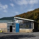 밤골 캠핑장 이미지