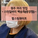 스타일바이백승희