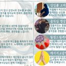 푸리랑민박