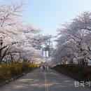 백조석유