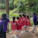 월아산 우드랜드 이미지