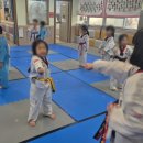 사랑태권도 이미지