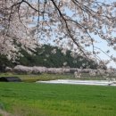 새마산목욕탕 이미지