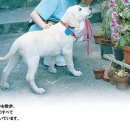 99 Daum카페