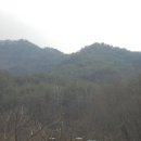 곡성-221 이미지