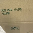 이오팜 서산농장 | 신상팜 서산 고북 스마트팜 유러피안 샐러드 리프 수경재배 수경채 상추