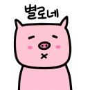 하이토마토