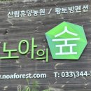 노아농장 이미지
