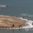 가창축산