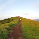 제주소요 이미지