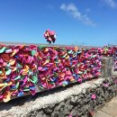 에이스렌트카 이미지