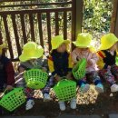 작전어린이집 이미지