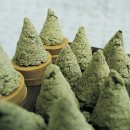 더바른한의원 이미지