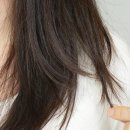 롯데오토케어㈜ | 올리브영샴푸 추천! 커리쉴 약산성단백질샴푸로 손상모 케어 시작