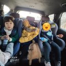 서울근교 딸기체험 일산 이한농원 추억을 남기다