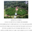 미로 티스토리
