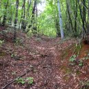 시천경로당 이미지