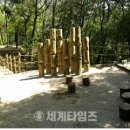 동부 태양광발전소 이미지