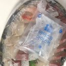 바다 | 속초 현지인 숙성회 포장 맛집 추천 '바다해풍' 내돈내산 후기