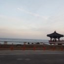 임원횟집