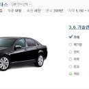 베리타스 Daum카페