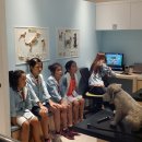 다은동물병원 이미지