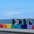 바글바글제주 이미지