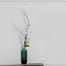 웰빙한의원 이미지