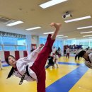 골든킥 태권도 이미지