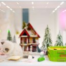 골든스웨터 캐터리 이미지